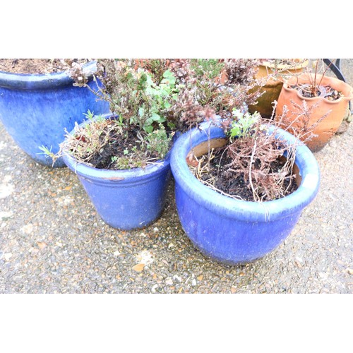 71 - 3 x small blue Garden pots and plants