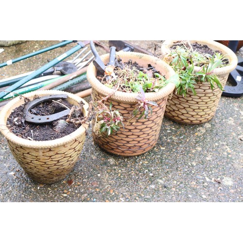 74 - 3 x matching garden plant pots