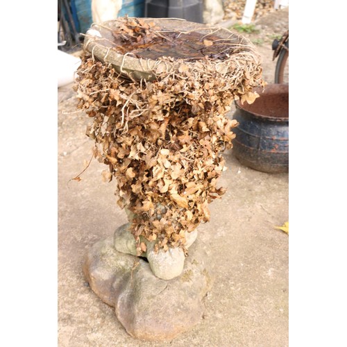 76 - Old bird bath with ivy