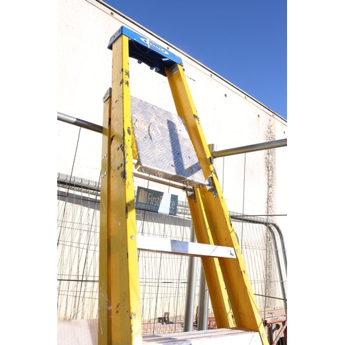 23 - Large Werner step ladder