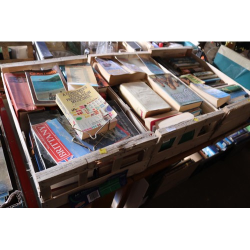 290 - 3 trays of books