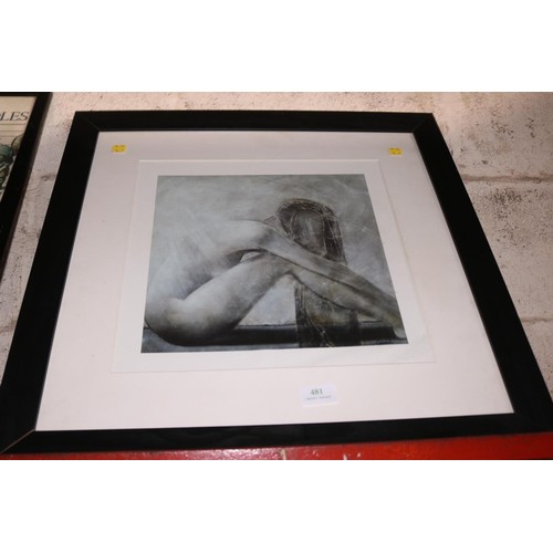 481 - Black framed picture, lady