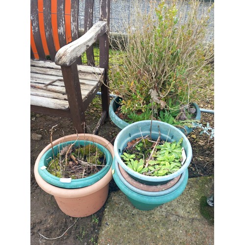 18 - Various sizes/colours plastic pots (1 with box plant)