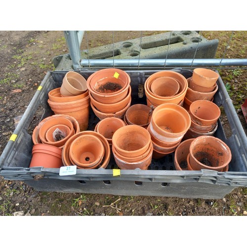 27 - Tray of terracotta pots