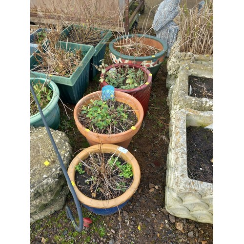 30 - 4 various glazed & terracotta sized pots