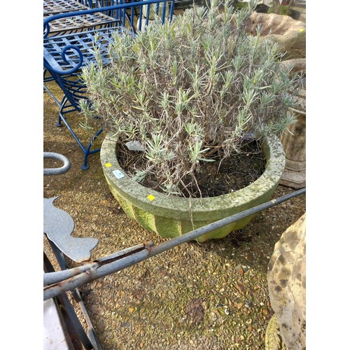 58 - Large round concrete planter