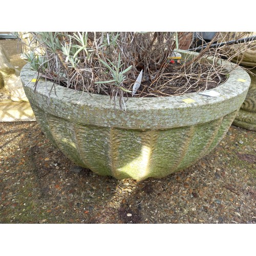 58 - Large round concrete planter