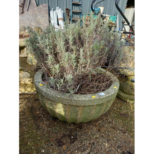 58 - Large round concrete planter