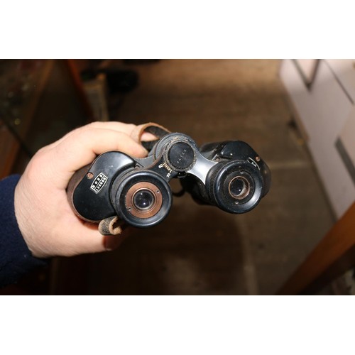 463 - 2 pairs of binoculars (1 cased)