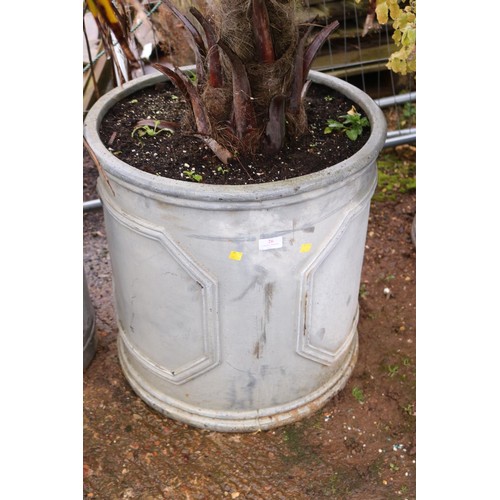 26 - Large pot with shrub