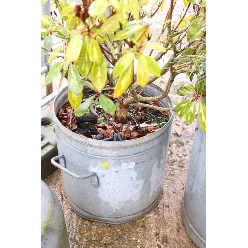 28 - 2 galvanised planters (1 milk churn, 1 pot)