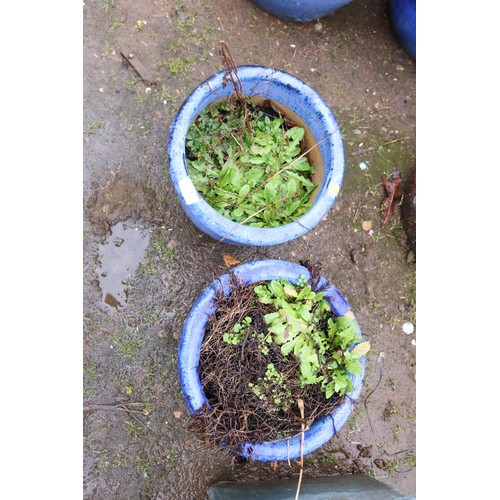 33 - Pair of blue glazed round planters