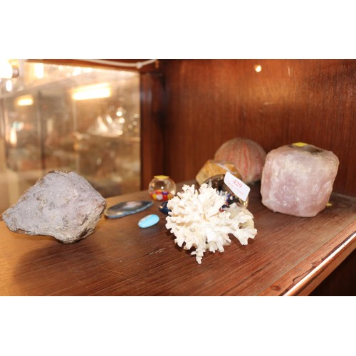 429 - Collectable rocks, shells, crystals, etc