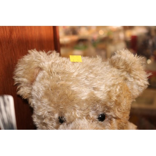 430 - Large limited Steiff bear with growler