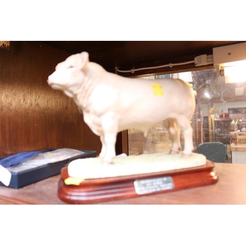 437 - Border fine arts 'charolais bull' ltd edition of 1500 modeller Ray Ayres tail, AF