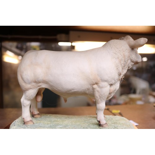 437 - Border fine arts 'charolais bull' ltd edition of 1500 modeller Ray Ayres tail, AF