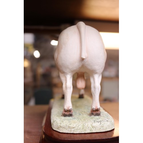 437 - Border fine arts 'charolais bull' ltd edition of 1500 modeller Ray Ayres tail, AF