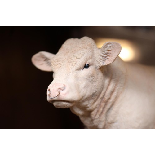 437 - Border fine arts 'charolais bull' ltd edition of 1500 modeller Ray Ayres tail, AF