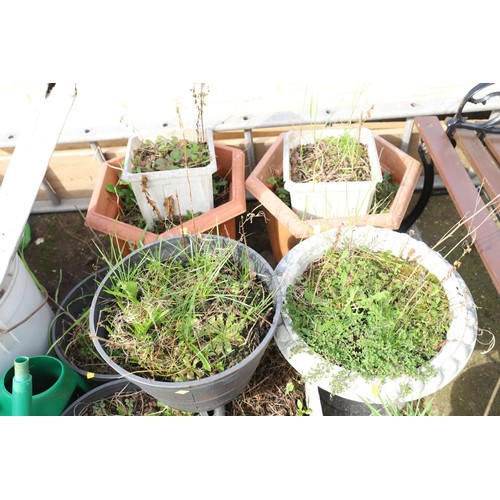63 - Qty of plastic garden pots/planters