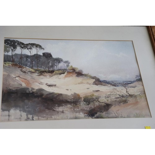 511 - Framed watercolour, signed