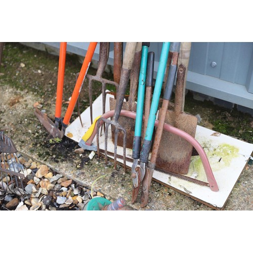 10 - Large qty of assorted garden tools