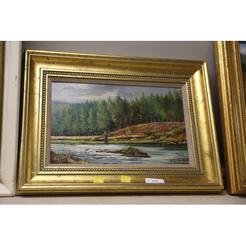 192 - Shirley Carnt oil/canvas river Nedas