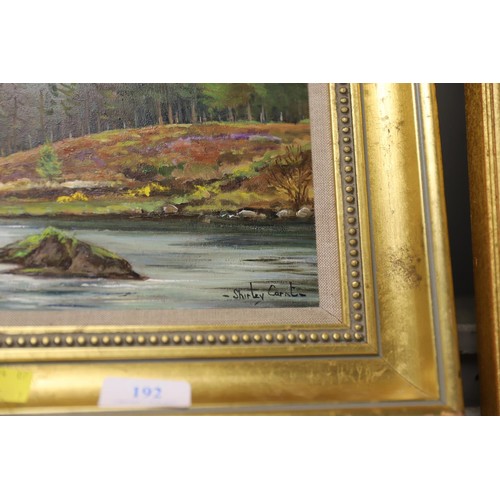 192 - Shirley Carnt oil/canvas river Nedas