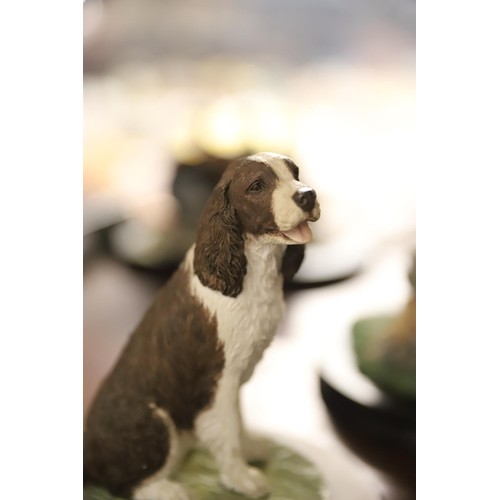 445 - Best breed English springer spaniel figurine