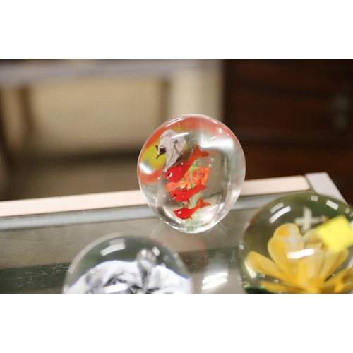 516 - Various glass paperweights