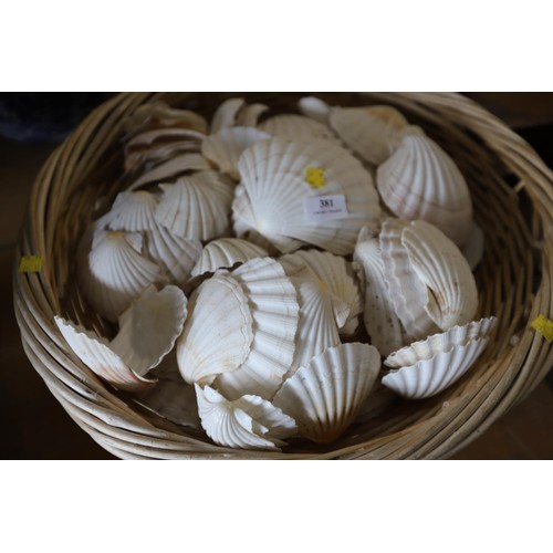 381 - Scollop shells in basket