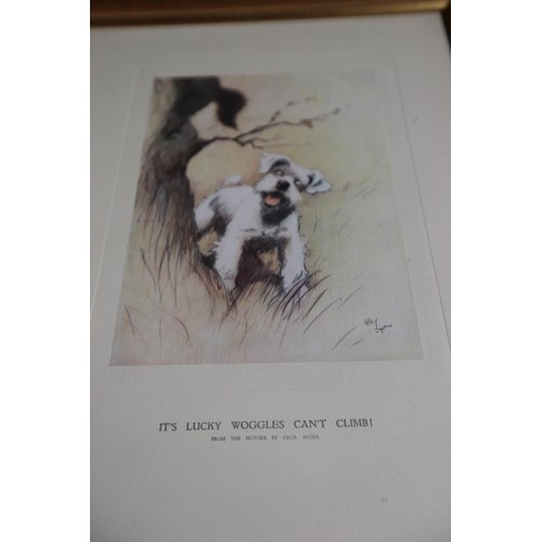 521 - Cecil Aldin prints - the good boy, the bad boy, you have been warned, it’s lucky woggles can’t climb... 