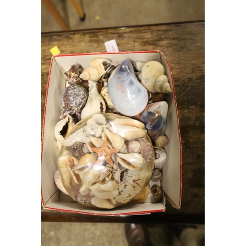 478 - box of mixed shells