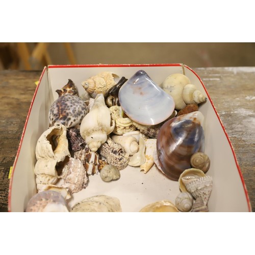 478 - box of mixed shells