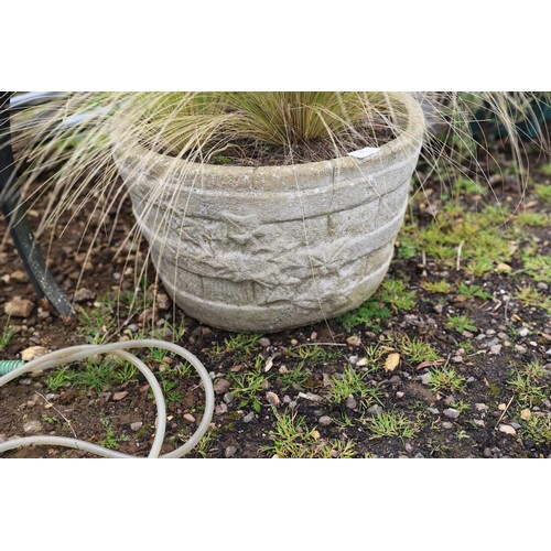 36 - Concrete planter with ornamental grass