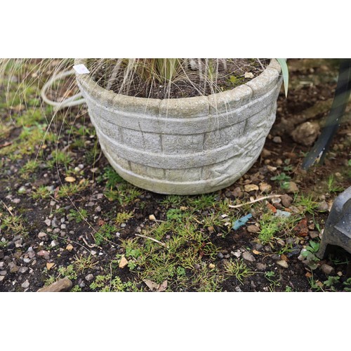 36 - Concrete planter with ornamental grass