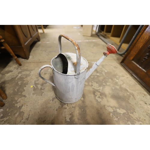 387 - Galvanised watering can, 2 gallon (plastic rose)