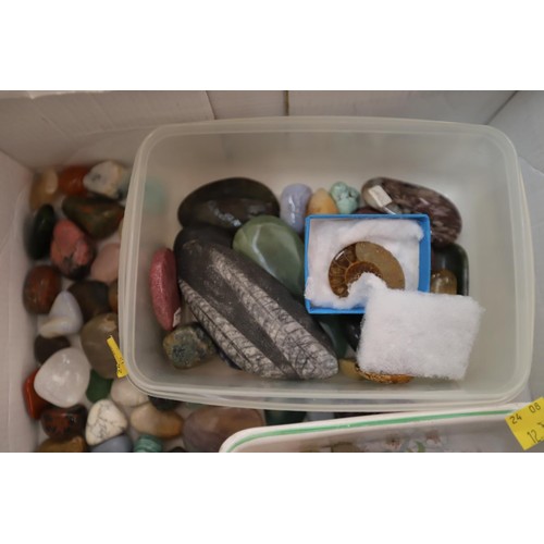 477 - collection of fossils/semi precious stones and minerals