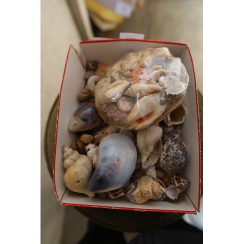 478 - box of mixed shells