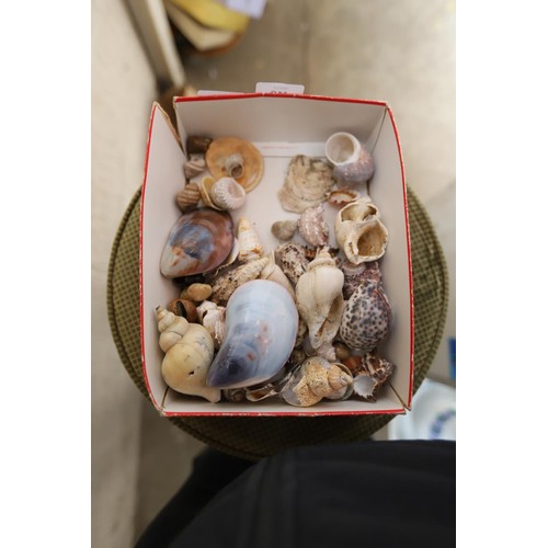 478 - box of mixed shells