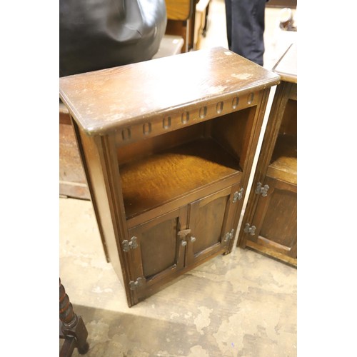 591 - Pair of oak small bookcases