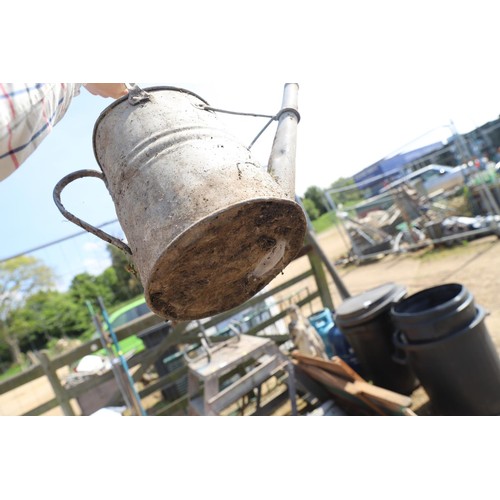 54 - Pair of galvanised metal watering cans