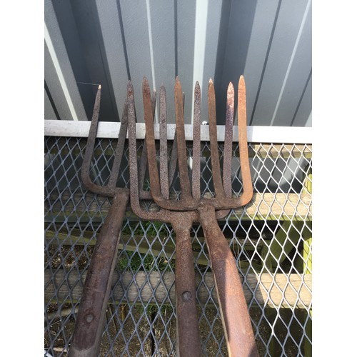 10 - 3 antique potato forks