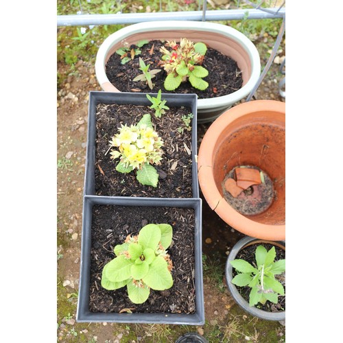 43 - Various pots & planters, incl plastic, terracotta, glazed & metal plant stands