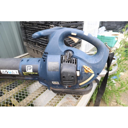 15 - Pro performance petrol blower/vac