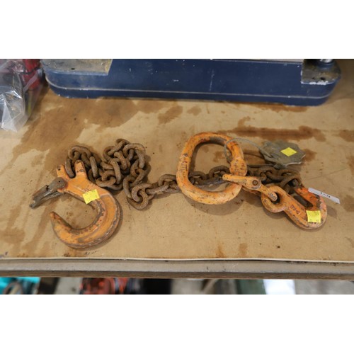 169 - Heavy duty lifting chain with eye