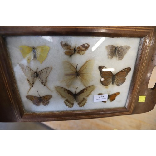 398 - Butterflies mounted in a small tray