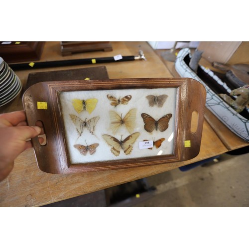 398 - Butterflies mounted in a small tray