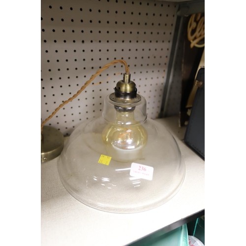 236 - 2 glass shade lights