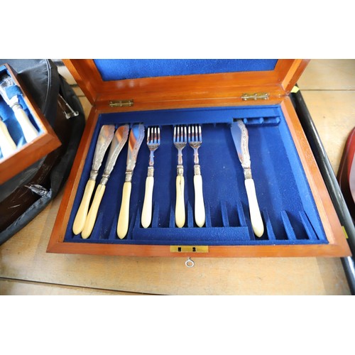 363 - Fish knives & forks in mahogany case with key (2 tiers, 10 sets)