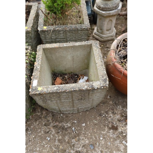 78 - 1 x box bush in square planter and one square planter